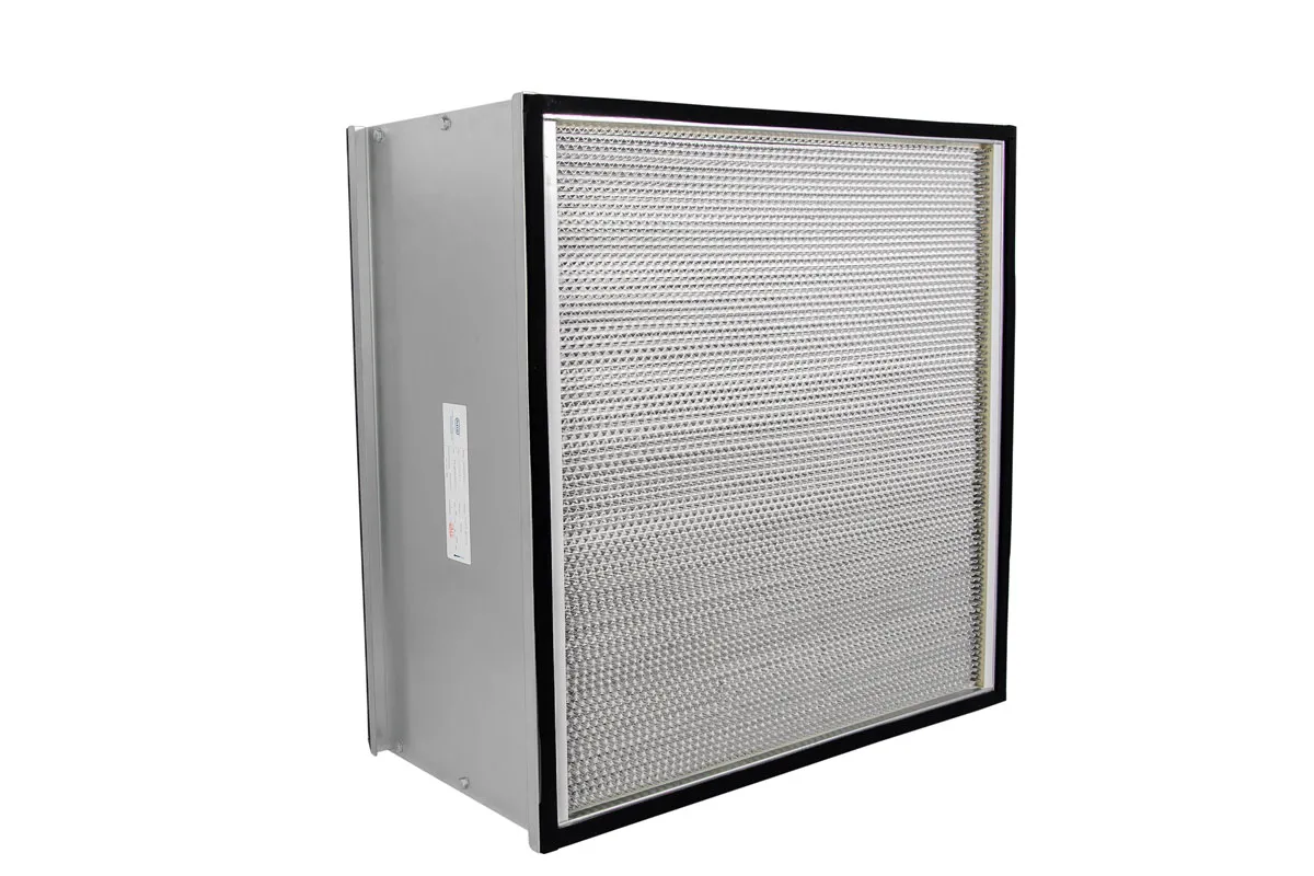 CARVEL SA HEPA 24X24X12 CON H 01